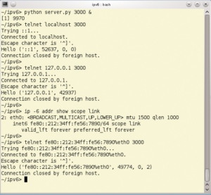 Abbildung 3: Der in Python umgesetzte Server antwortet auf per IPv6 und IPv4 eingehende Telnet-Verbindungen.