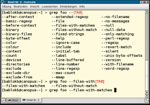Abbildung 1: Completion vervollständigt die Programmoptionen von »grep«.
