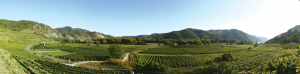 Abbildung 5: Die Donauschleife mit Weinbergen und Bahnstrecke in der Wachau in einer gut 240 Grad breiten Aufnahme (Canon EOS 30 D, kein Stativ, sechs Bilder).