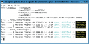 Abbildung 1: Das Terminalprogramm &raquo;konsole&laquo; ist mit vier Shells über Pipes verbunden.