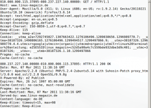Abbildung 2: Tcpflow fasst die Dumps der Pakete von Client (Charlys Browser, oben) und Server (»www.linux-magazin.de«, unten) zu Flows zusammen.