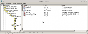Abbildung 4: Wine bringt seinen eigenen Registry-Editor mit.