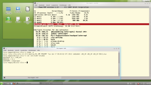 Abbildung 6: Alt, aber dennoch nützlich: Open Suse bringt auch in Version 12.1 noch die Powertop-Variante 1.13 mit, die dem Anwender konkrete Kommandos zum Optimieren seines Systems gibt. Die Kombination aus Suse und Gnome erwies sich im Laufzeit-Benchmark zudem als die energiesparendste Variante.