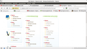 Abbildung 6: Als einziger Anbieter hat Opera Link eine Funktion im Gepäck, die Duplikate entfernt. Das Feature ist über die My-Opera-Webseite erreichbar.