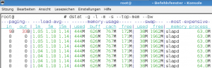 Abbildung 8: Auf der Jagd nach dem größten Speicherverbraucher: Hier hat Dstat den LDAP-Daemon ermittelt.
