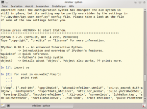 Abbildung 2: Ipython ist eine interaktive Schnittstelle zu Python, die sich anfühlt wie eine Shell.