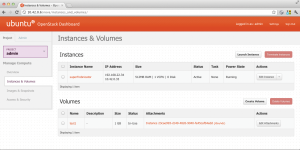Abbildung 3: Über die Instance-Funktionen des Dashboards lassen sich neue VMs starten, mit IP-Adressen versorgen und mit Volumes verbinden.