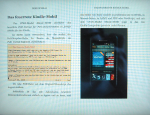 Abbildung 8: Das fertige E-Book in der Kindle-Applikation auf dem iPad.