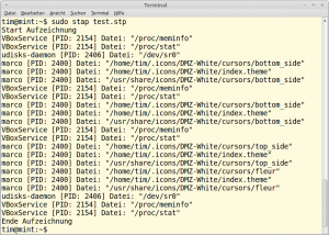 Abbildung 6: Ein Systemtap-Skript beobachtet in einer virtuellen Maschine unter Virtualbox 4 Sekunden lang die Systemfunktion »open()«.