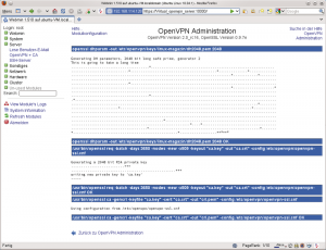 Abbildung 10: Deutlich transparenter, aber auch komplexer und für den Einsteiger weniger geeignet, gestaltet das Webmin-Modul »Openvpn und CA« die Administration, hier das Erstellen der eigenen Zertifikate.