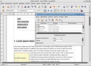 Abbildung 6: All inclusive: Das Open-Office-Paket enthält eine leistungsfähige Datenbankanwendung à la Microsoft Access. Die Serienbrieffunktion der Textverarbeitung glänzt mit einer Funktion wie bedingtem Text, die zum Beispiel zwischen männlichen und weiblichen Empfängern differenziert.