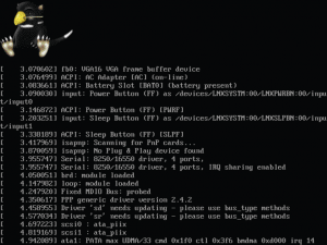 Abbildung 6: Der tasmanische Teufel Tuz ersetzte im Linux-Kernel 2.6.29 den in Urlaub geschickten Tux.