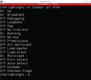 Abbildung 1: Ifdata schaut nach, welche Flags der Netzwerkschnittstelle gehisst sind.