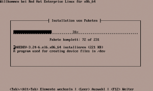 Abbildung 2: RHEV-M lässt sich wie ein normales Linux installieren.