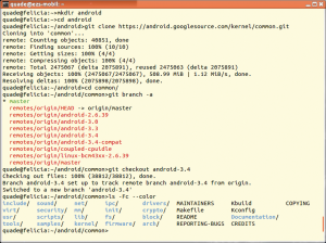 Abbildung 2: Der Quellcode für den Android-Kernel kommt per Git auf die Platte. Der Master-Zweig ist allerdings leer.