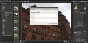 Abbildung 1: Bereits beim Import der Bildersammlung vergeben Anwender in Corel Aftershot Pro Schlagwörter für ein oder mehrere Fotos.