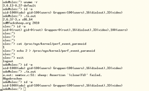 Abbildung 3: Der öffentlich zugängliche Exploit für CVE-2013-2094 besorgt einem lokalen Anwender eine Rootshell. Linderung schafft eine Änderung der Sysctl-Konfiguration.