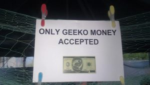 Zwei Geeko-Dollar sind ein Euro.