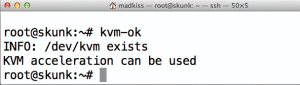 Abbildung 1: Auch KVM kann die in aktuellen CPUs verbauten, Hardware-spezifischen VT-D- oder SVM-Technologien im Hostkernel ansprechen.