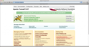 Abbildung 3: Sieht zwar so aus wie ein Tomcat, ist in Wirklichkeit aber ein Nginx, das der Anwender übers Dashboard zur Instanz hinzugeklickt hat.