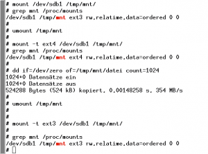 Abbildung 3: Einige Verbesserungen von Ext 4 macht der Kernel über den Treiber auch für Ext-3-Partitionen verfügbar.