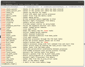 Abbildung 1: Ein Grep nach »Linux« zeigt Profile, ein Grep auf »linux« listet die Volatility-Befehle.