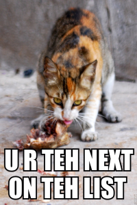 Abbildung 2: Klassiker der Moderne – eine Lolcat mit orthografisch bedenklichem Lolspeak.