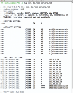 Abbildung 2: Darstellung der öffentlichen TLD &raquo;.com&laquo; beim DNS-Query über die normalen Rootserver …