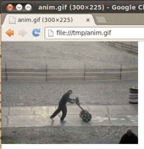 Abbildung 5: Das Gif läuft im Browser nun in einer Endlosschleife.