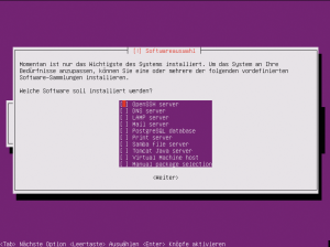 Abbildung 1: Die auf den Cloud-Einsatz optimierte Ubuntu 13.10 Server Edition bietet bei der Installation zahlreiche Rollen an.