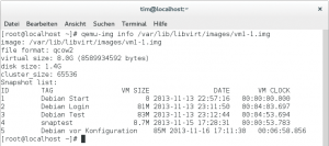 Abbildung 3: &raquo;qemu-img&laquo; liefert nicht nur das Dateiformat des Image (hier &raquo;qcow2&laquo;), sondern verrät auch, welche Snapshots darin gespeichert sind.