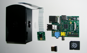 Abbildung 1: Die Einzelteile des Test-Setups: Ein Pi Model B, die Picam, die notwendige SD-Card sowie ein Wifi-Dongle. An Gehäusen herrscht kein Mangel, auch spezielle Picam-Gehäuse mit Guckloch gibt es zuhauf.