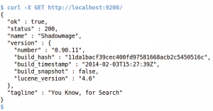 Abbildung 1: Nach dem Starten des Daemon antwortet dieser auf dem Port 9200 auf API-Anfragen.