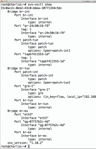 Abbildung 5: VMware NSX erfindet jede Menge Funktionalität um Open Vswitch herum.