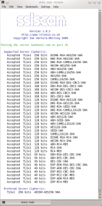 Abbildung 1: Charly fühlt mit SSL Scan seinem Mailserver auf den Zahn.