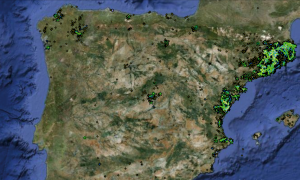 Abbildung 2: Sehr beliebt: Im Guifi.net rund um Barcelona gibt es etwa 25000 aktive Knoten, wobei es sich nicht um ein reines Mesh-Netzwerk handelt.