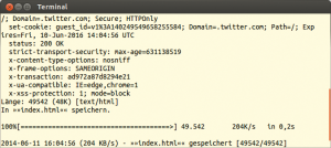 Abbildung 2: Twitter teilt per HTTP-Header mit, dass es HTTP Strict Transport Security (HSTS) einsetzt.