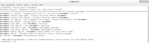 Abbildung 6: RHEL 7 ist die erste Version von RHEL, die mit Pacemaker kommt – aber mit einem Red-Hat-Pacemaker.