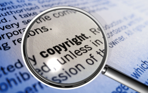 Abbildung 4: Schon neun Zeilen Code und acht Dateien können Gegenstand einer Copyright-Klage sein.