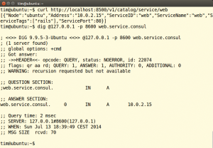 Abbildung 5: Die beiden Befehle holen Informationen über den Dienst &raquo;web&laquo; ein. Der erste Befehl nutzt die HTTP-Schnittstelle, der zweite den eingebauten DNS-Server des Consul-Servers.