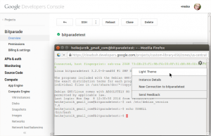 Abbildung 3: Der Klick auf den Button »SSH« öffnet ein neues Browserfenster und in diesem ein Terminal.