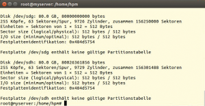 Abbildung 3: Ohne Raid-Controller sind die beiden 80-GByte-Platten zunächst nutzlos.