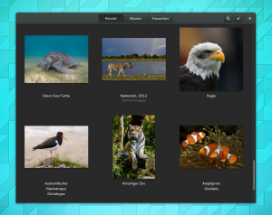 Photos zeigt nun auch Onlinefotos an, die Google hostet.