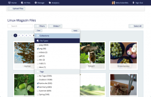 Abbildung 12: Smartimage filtert nach Sammlungen, Dateitypen und Schlagwörtern. Nutzer klappen dazu das Dropdown-Menü aus und wählen Kriterien per Mausklick aus.