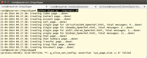 Abbildung 1: Das Python-Skript stellt die vertraulichen Daten der Skype-Kommunikation wieder her …