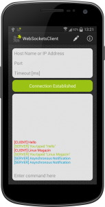 Abbildung 3: Die Benutzeroberfläche der Client-anwendung Websockets Client.