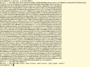 Abbildung 3: Die Lösung benutzt drei Umgebungsvariablen. In &raquo;SSH_PERS_ENV_DATA&laquo; ist ein Base64-kodiertes Tar.gz-Archiv mit den Nutzdaten enthalten.