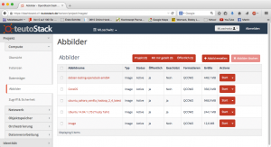Abbildung 3: Bei Teuto Stack setzt man auf Hausmannskost und serviert den Kunden das Open-Stack-Dashboard, gewürzt mit einem eigenen Theme.