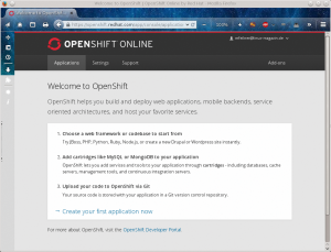 Abbildung 4: Namespace, Public Key, Authorizations. Im Settings-Dialog von Open Shift Online definiert der Anwender seine Umgebung.