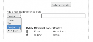 Abbildung 4: Anwender konfigurieren über das Webinterface einfache Filter zum Blockieren bestimmter Mails.